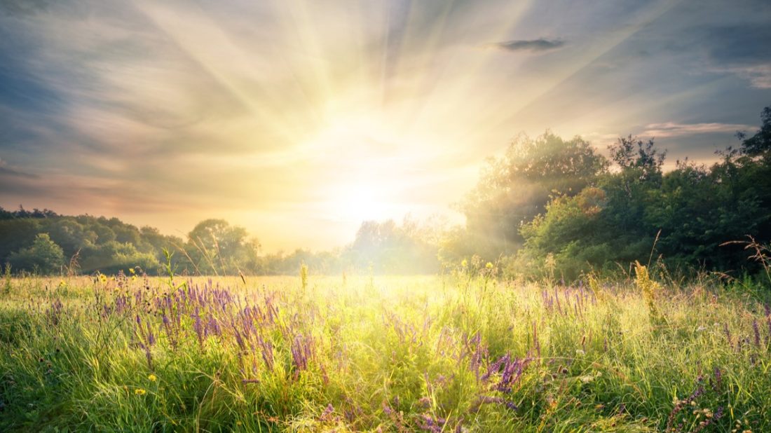 istock-926681406-1100x618.jpg